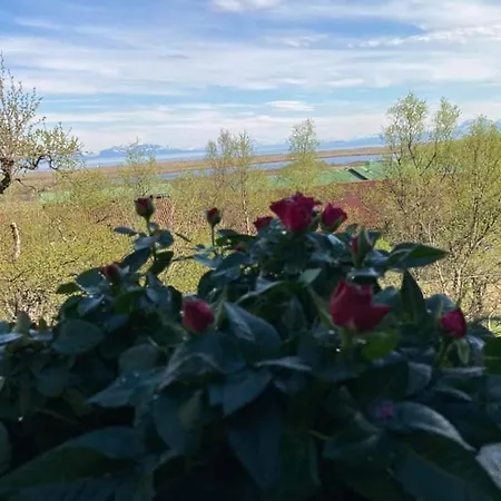 Sirena Guest house