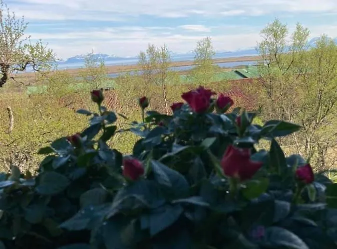 Sirena Гостевой дом