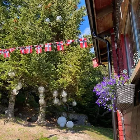 Sirena 4* Skarstein (Andoya)